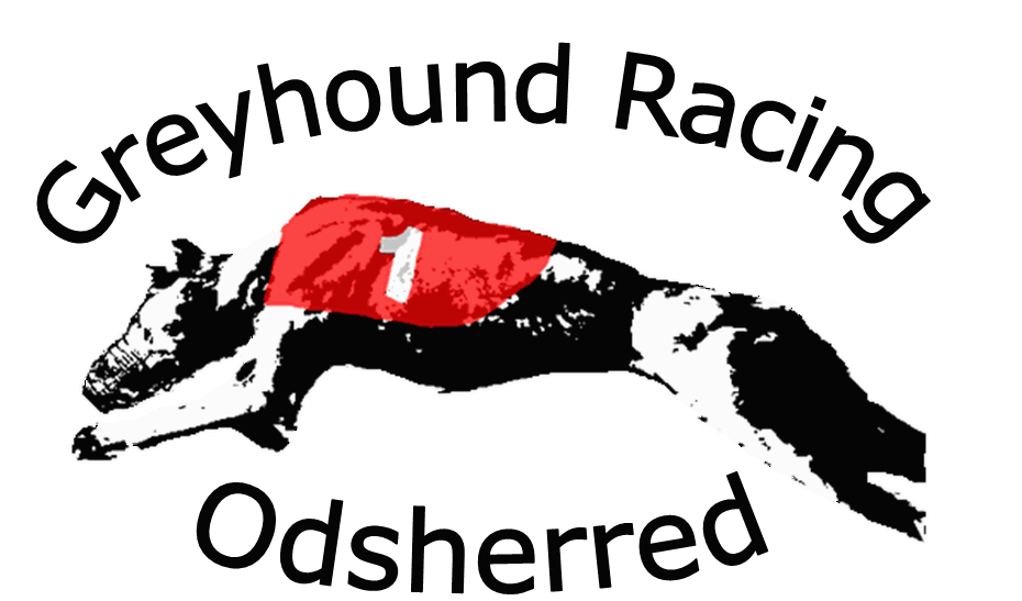 Greyhound Racing Odsherred